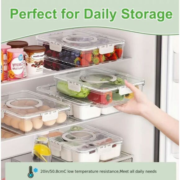 8 + 1 Compartment Food, Fridge, Craft, Office Organizer w/ Handle & Container - Picture 6 of 11